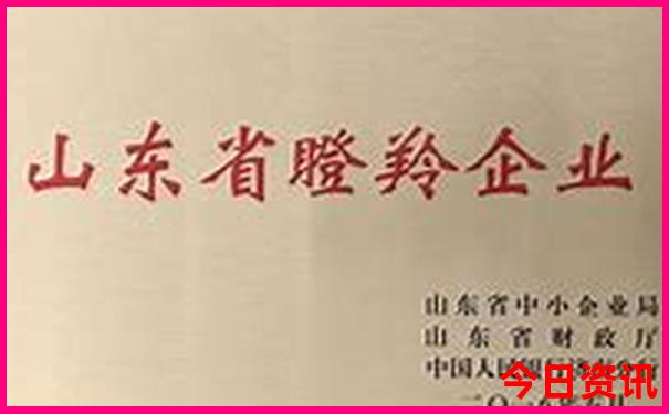 不爬山去哪旅游最好